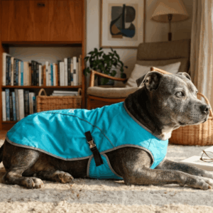 ANDUPET ProMassage Jacket